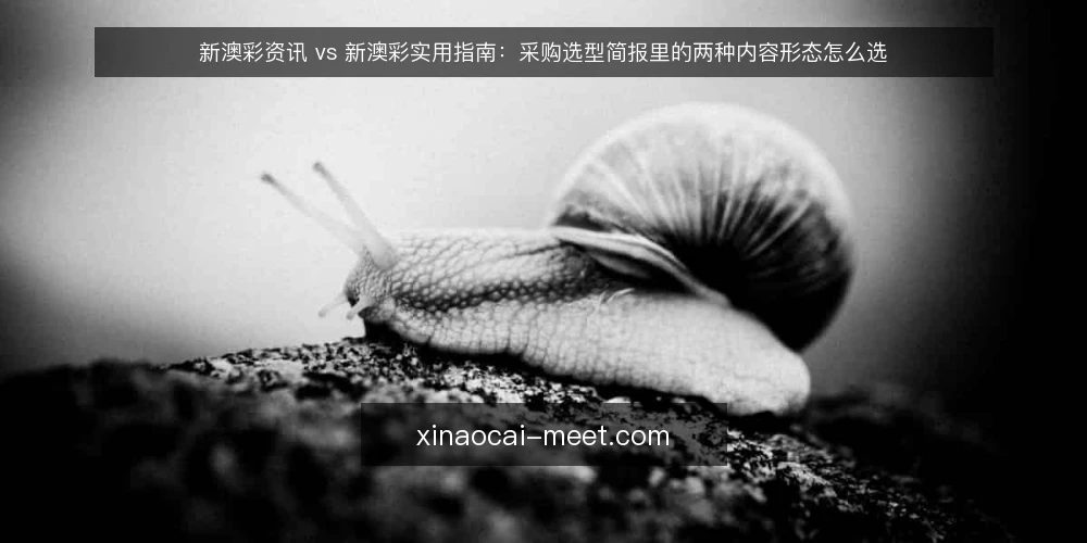 新澳彩资讯 vs 新澳彩实用指南：采购选型简报里的两种内容形态怎么选 — 先定义你要解决的需求 配图